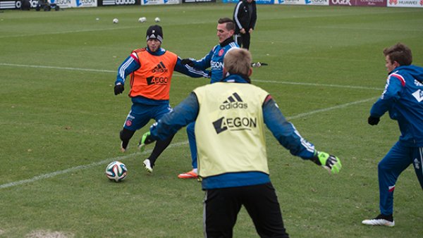 或许是那条 或许是那条